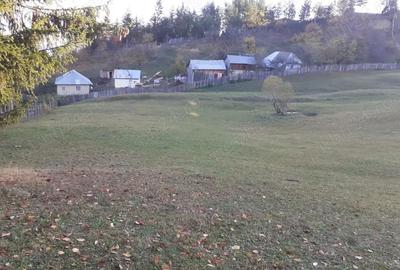 Teren de 13700 mp, în Nereju - 6