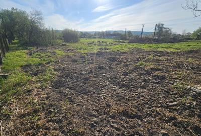 Teren de 8780 mp, în Vărădia de Mureș - 2