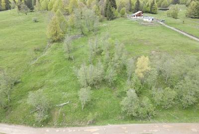 Teren de 7500 mp, în Cheia - 3