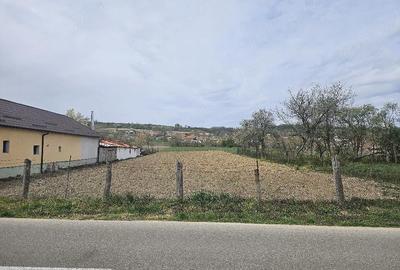 Teren de 2200 mp, în Petrani - 1