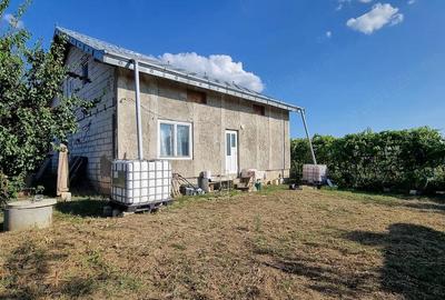 Casă cu Teren 1930 Mp în Răchiți - 8