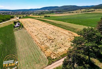 Teren agricol extravilan de 2268 mp, în Valea Crișului - 4