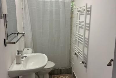 Apartament cu 2 camere decomandat, mobilat în Est - 5