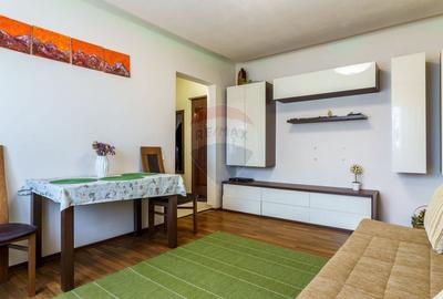 Apartament cu 3 camere semidecomandat, mobilat în Mănăștur - 4