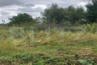 Teren de 2000 mp, în Stupini - 3