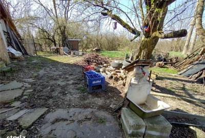 Casă cu 8 camere cu Teren 3800 Mp în Central - 6