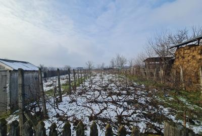 Vanzare casa cu teren de 3817 mp, com.Tulucesti, jud.Galati, deschidere la DN26 - 15