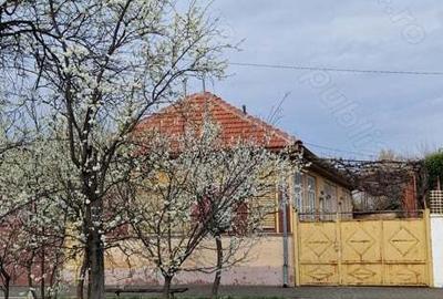 Vand casa Sannicolau Mic - 2
