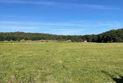 Teren de 5400 mp, în Sânpetru - 2