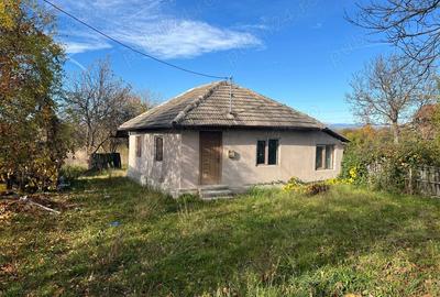 Vand casa in Berbesti. - 7