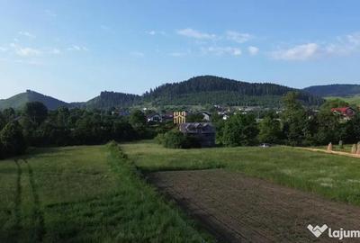 Teren de 10304 mp, în Slatina - 12