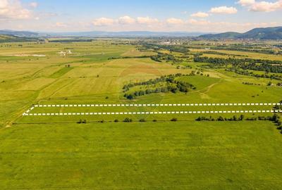 Teren agricol extravilan de 8329 mp, în Glăjărie - 4