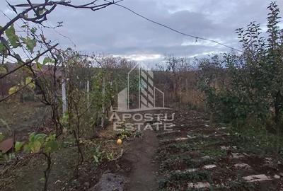 Casa cu spatiu comercial in Ghioroc aproape de plaja - 6