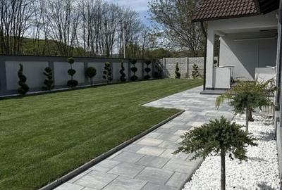 Casă cu 3 camere cu Teren 160 Mp în Mihăești - 2