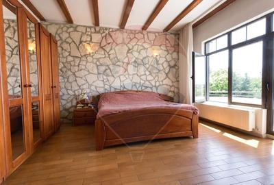 Casă individuală cu 7 camere cu Piscina în Izvorani - 8