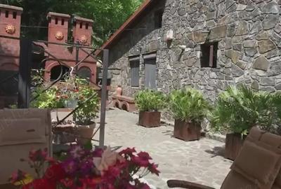 Casă cu 6 camere cu Teren 16500 Mp în Lunca Mare - 3