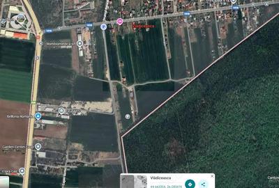 Teren de 700 mp, în Mogoșoaia - 1