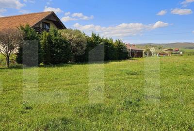 Teren intravilan 2.100 mp Valea Cri?ului, la intrare i - 2