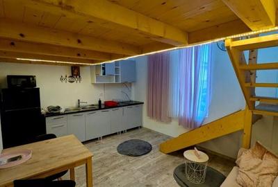 Apartament cu 2 camere în Ultracentral - 4