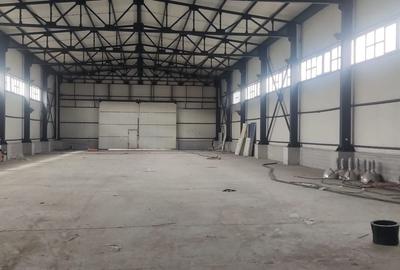 Hale renovate Oras Pantelimon module 200-400 mp ( zona industriala ) - 4