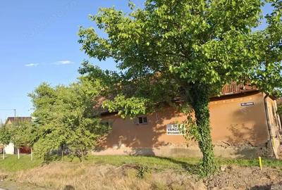 Casa pentru demolare/renovare in Nadlac cu teren 616mp - 5