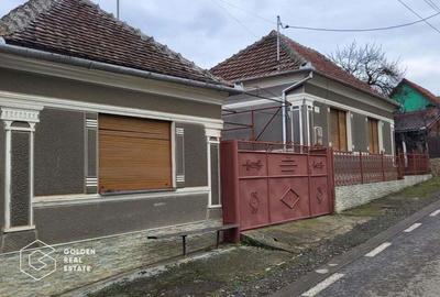 Casa cu 2 corpuri de cladire, oras Lipova - 8