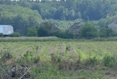 Teren de 13518 mp, în Marginea - 4