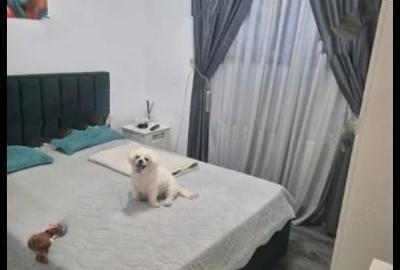 Apartament cu 2 camere decomandat în Berceni - 3