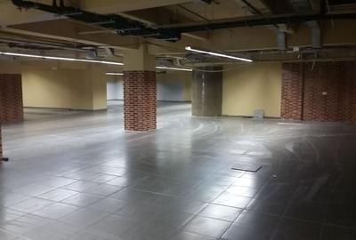 Spatiu  Stradal Ultracentral pentru magazin sau activitati sportive - 2