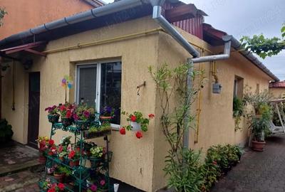 Casă cu 3 camere cu Teren 375 Mp în Micălaca - 9