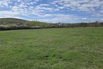 Teren de 703 mp, în Central - 5