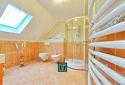 Casa impresionanta cu 15 camere, teren generos, piscina ?i doua corpuri de cladire Fantanele, Arad - 11