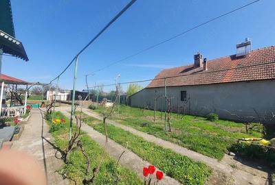 Casă cu Teren 1996 Mp în Giulvăz - 1