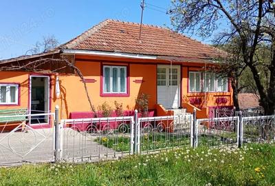 Casă cu 4 camere cu Teren 3600 Mp în Obislavu - 4