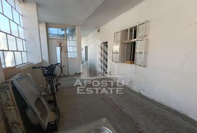 Casa individuala cu teren generos 2158mp, front 12m, livada, Freidorf - 25