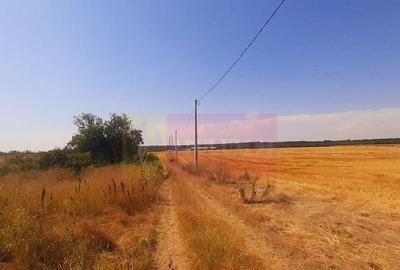 Teren de 2000 mp, în Brănești