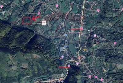 Teren Construcții intravilan de 24253 mp, în Predeluț - 21