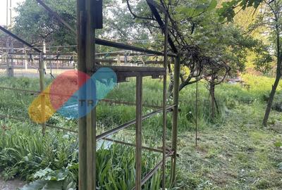 Teren 729 mp cu casa individuala – cartier Bulgaria, zona linistita - 11