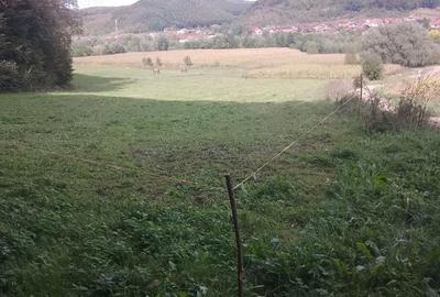 Teren de 5600 mp, în Nord - 5