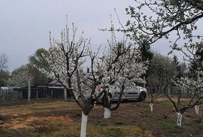 Casă cu Teren 5700 Mp în Stolniceni-Prăjescu - 4