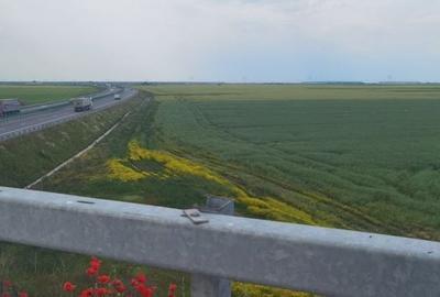 Teren de 21000 mp, în Sălăjan