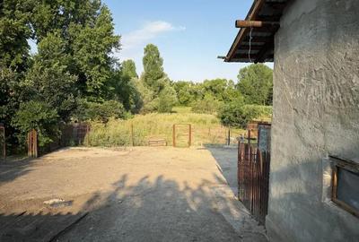 Casă cu 6 camere cu Teren 2160 Mp în Baciu - 4