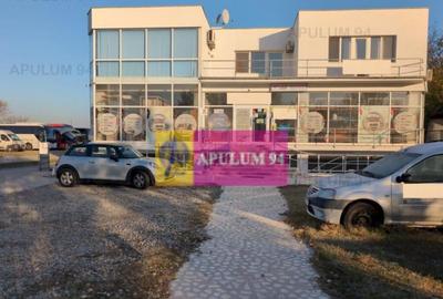 Centru de afaceri cu vad comercial - 11