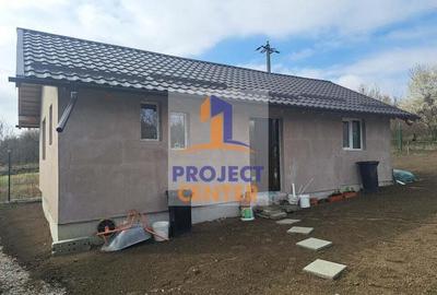 Casa de vacanta, structura lemn, in constructie - 1