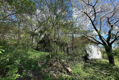 Casă cu 4 camere în Valea Stâlpului - 4