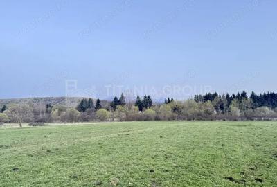 Teren de 7838 mp, în Zărnești - 5