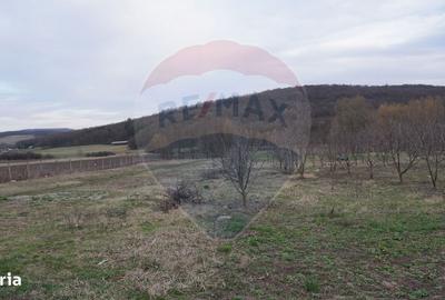 Spațiu comercial, în Barați - 2