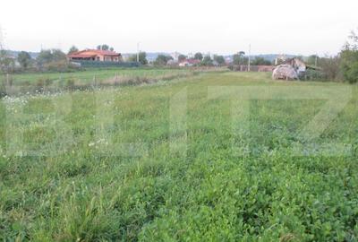 Teren intravilan 6000 mp cu 2 fronturi, parcelabil - 2