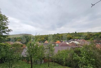 Casa la cheie, teren de 1600 mp, sat Macau, schimb cu aparta - 6