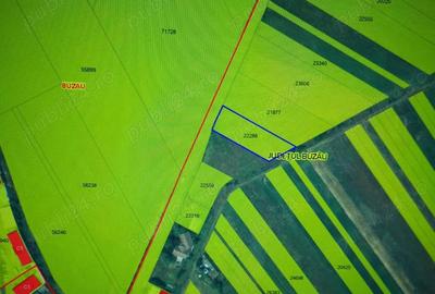 Teren intravilan 2500 mp, cu deschidere stradala de 30 ml, Spataru - 5